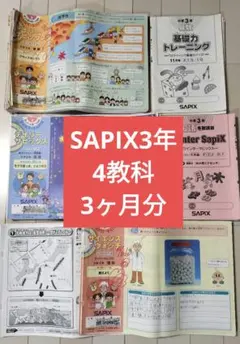 2026年最新】デイリーサピックス 3年の人気アイテム - メルカリ