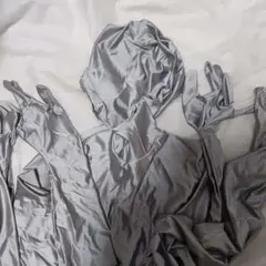 2026年最新】ゼンタイ pケースの人気アイテム - メルカリ