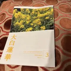 2026年最新】大白蓮華の人気アイテム - メルカリ