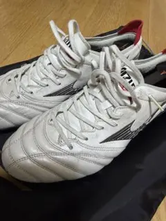 2026年最新】モレリアネオ3β 27の人気アイテム - メルカリ