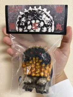 2026年最新】RObin copiapoaの人気アイテム - メルカリ