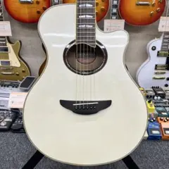 2026年最新】yamaha apx1000の人気アイテム - メルカリ