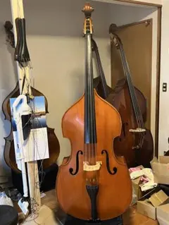 2026年最新】コントラバス本体の人気アイテム - メルカリ