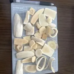 2026年最新】マッコウクジラの歯の人気アイテム - メルカリ