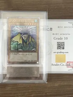 2026年最新】アクアマドールの人気アイテム - メルカリ