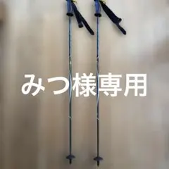 2026年最新】SWIX cobraの人気アイテム - メルカリ