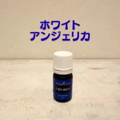 2026年最新】ヤングリビングの人気アイテム - メルカリ