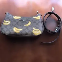 2026年最新】COACHバナナの人気アイテム - メルカリ