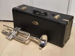 2026年最新】YAMAHA RGSの人気アイテム - メルカリ