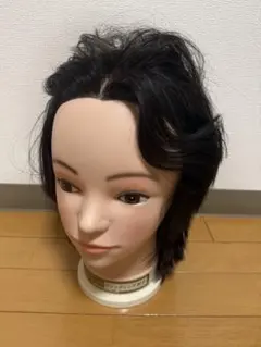 2026年最新】ワインディングウィッグの人気アイテム - メルカリ