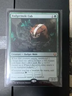 2026年最新】アナグマモグラの仔の人気アイテム - メルカリ