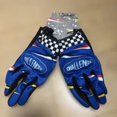 2026年最新】challenger グローブの人気アイテム - メルカリ