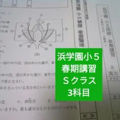 2026年最新】浜学園 小5 復習テストの人気アイテム - メルカリ