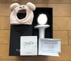 2026年最新】straykids ペンライトカバー ver.2の人気アイテム - メルカリ