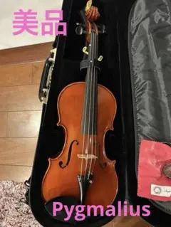 2026年最新】バイオリン弓 アルシェの人気アイテム - メルカリ