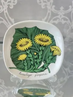 2026年最新】アラビア ボタニカの人気アイテム - メルカリ