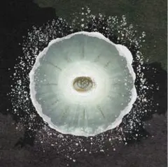 2026年最新】Siip 完全生産限定の人気アイテム - メルカリ