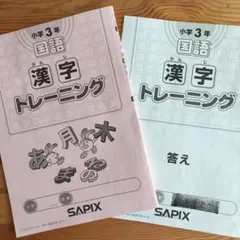 2026年最新】サピックス 漢字完成テストの人気アイテム - メルカリ