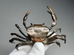 2026年最新】銅 蟹の人気アイテム - メルカリ
