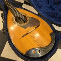 2026年最新】SUZUKI マンドリン m-210の人気アイテム - メルカリ