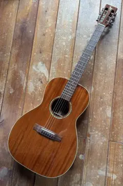 2026年最新】Dct ギターの人気アイテム - メルカリ