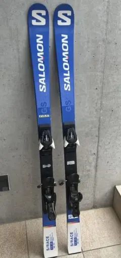 2026年最新】salomon gsの人気アイテム - メルカリ