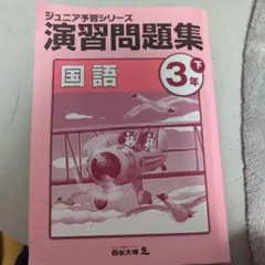 2026年最新】ジュニア予習シリーズ 3年の人気アイテム - メルカリ