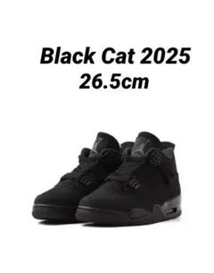 2026年最新】aj4 black catの人気アイテム - メルカリ