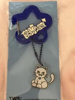 2026年最新】tws キーリング 公式の人気アイテム - メルカリ