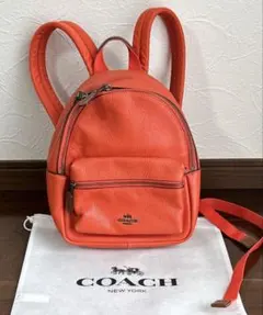 2026年最新】コーチ キースヘリング リュックの人気アイテム - メルカリ