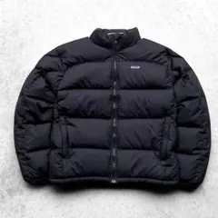 2026年最新】パタゴニア フィッツロイ ダウンパーカの人気アイテム