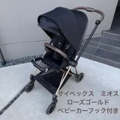 2026年最新】サイベックス ミオス ローズゴールドの人気アイテム