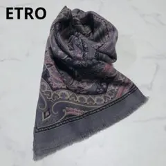 2026年最新】ETRO エトロ ストールの人気アイテム - メルカリ
