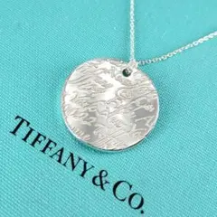 2026年最新】ティファニー1837サークルピアスの人気アイテム - メルカリ