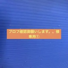 2026年最新】プロフご確認下さいの人気アイテム - メルカリ