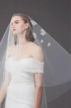 2026年最新】トリートドレッシング ベール 蝶の人気アイテム - メルカリ