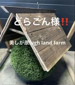 2026年最新】杉玉の人気アイテム - メルカリ