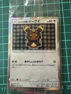 2026年最新】ポンチョを着たイーブイ ブラッキーの人気アイテム - メルカリ