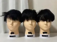 2026年最新】ip200 ウィッグの人気アイテム - メルカリ