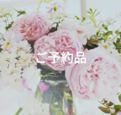 2026年最新】バーバリーブルーレーベルの人気アイテム - メルカリ