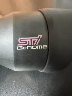2026年最新】sti genomeの人気アイテム - メルカリ