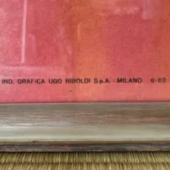 2026年最新】ペギーホッパーの人気アイテム - メルカリ