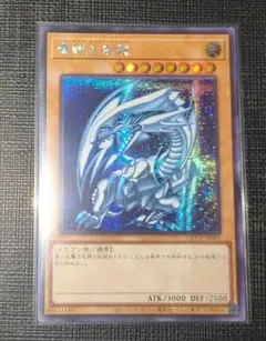 2026年最新】青眼の白龍 アジア シークレットの人気アイテム - メルカリ