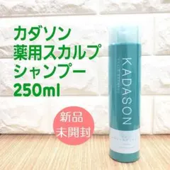 2026年最新】kadason シャンプーの人気アイテム - メルカリ