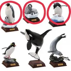 2026年最新】ネイチャーテクニカラー 南極の人気アイテム - メルカリ