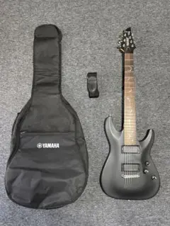 2026年最新】schecter DAMIENの人気アイテム - メルカリ
