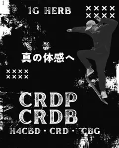 2026年最新】CRDPの人気アイテム - メルカリ