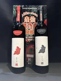 2026年最新】新政頒布会の人気アイテム - メルカリ