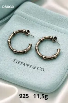2026年最新】tiffany バンブー ピアスの人気アイテム - メルカリ