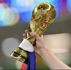 2026年最新】w杯 トロフィーの人気アイテム - メルカリ
